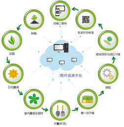 茶叶生长管理系统定制开发