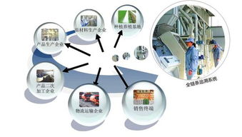 健康食品质量追溯系统定制开发